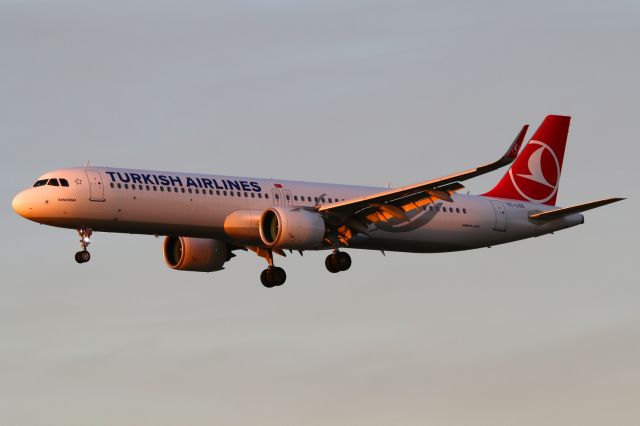 Airbus A321neo (TC-LSS)