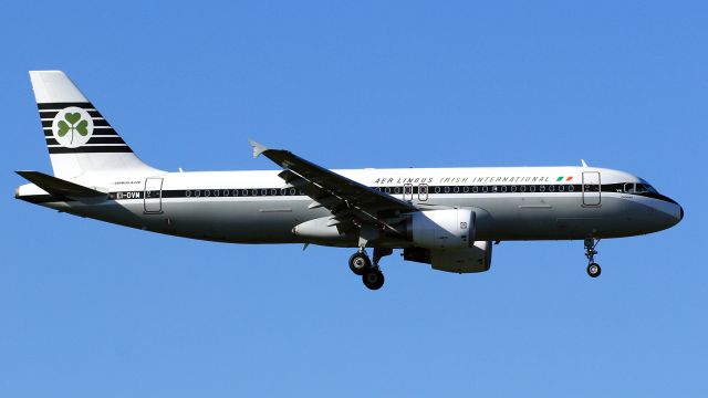 Airbus A320 (EI-DVM)