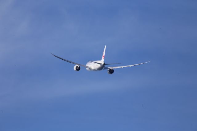 Boeing 787-8 (JA835J)