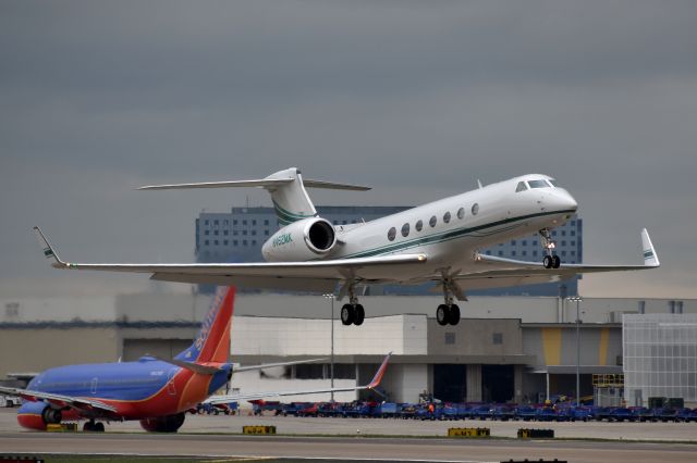 Gulfstream Aerospace Gulfstream V (N462MK)