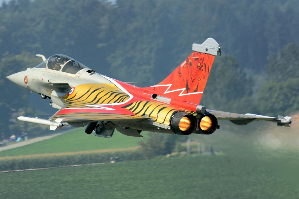 Dassault Rafale (N142) - Thundertiger - NTM2014 spec color of EC 1/7 Provence / BA 113 St.Dizier-Robinson at Air14, 1600px