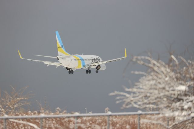 Boeing 737-700 (JA07AN) - January 31st 2022:HND-HKD.