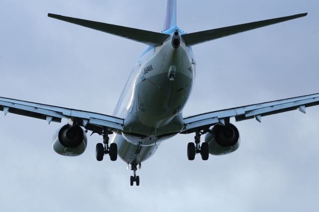 Boeing 737-800 (JA64AN) - 04 June 2015:HND-HKD.