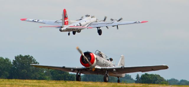 North American T-6 Texan (N29935) - You dont see this every day!