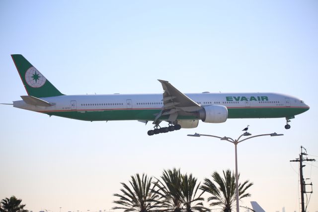 BOEING 777-300ER (B-16707)