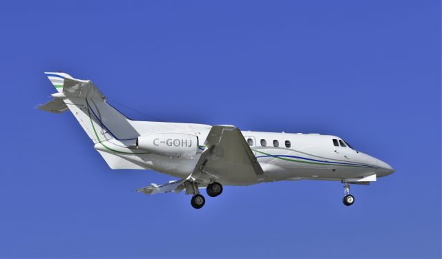 Hawker 800 (C-GOHJ)