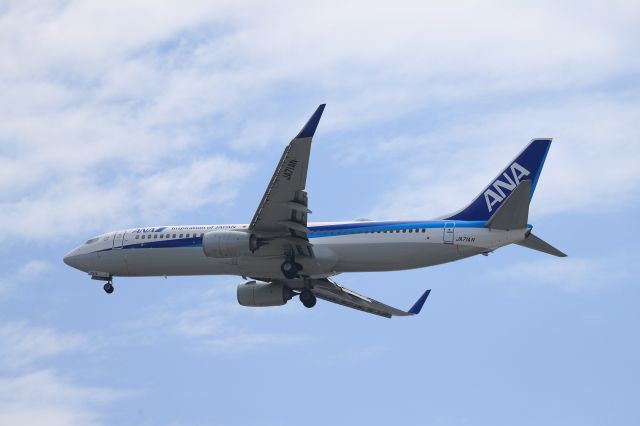 Boeing 737-800 (JA71AN) - May 31st 2018:ITM-HKD.