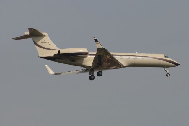 Gulfstream Aerospace Gulfstream V (D-AVAR)