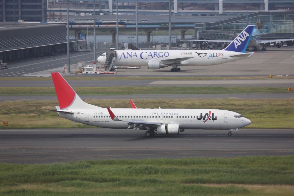 Boeing 737-800 (JA314J)