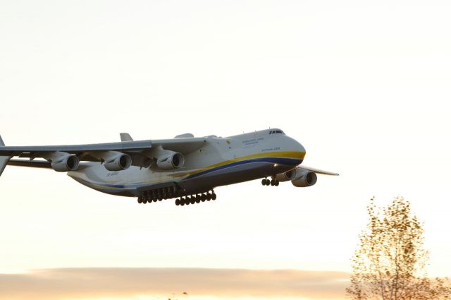 Antonov Antheus (UR820260) - Landing 26.