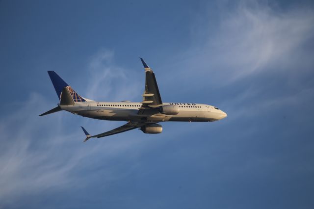 Boeing 737-800 (N79541)