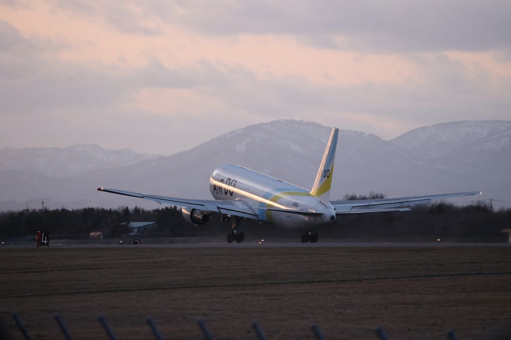 BOEING 767-300 (JA613A) - March 26, 2025:HKD-HND.