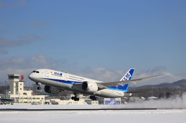 Boeing 787-8 (JA878A) - January 3rd 2021:HKD-HND.