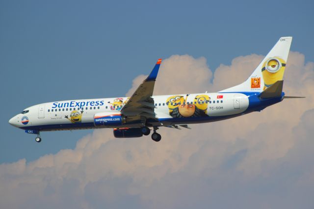 Boeing 737-800 (TC-SOH) - SUNEXPRESS NEWEST AIRCRAFT "TC-SOH" and The Special Scheme "MINNIONS"