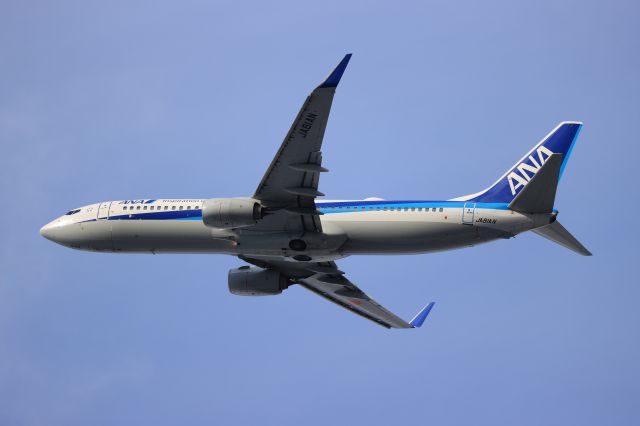 Boeing 737-800 (JA81AN) - December 2nd 2020:HKD-ITM.