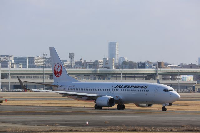 Boeing 737-800 (JA308J)