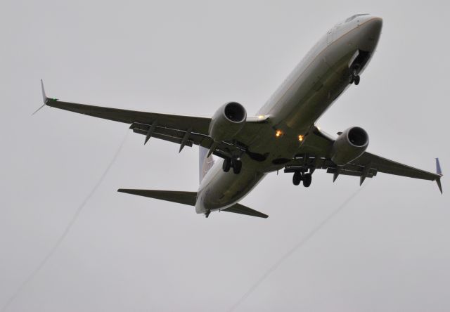 Boeing 737-900 (N39461)
