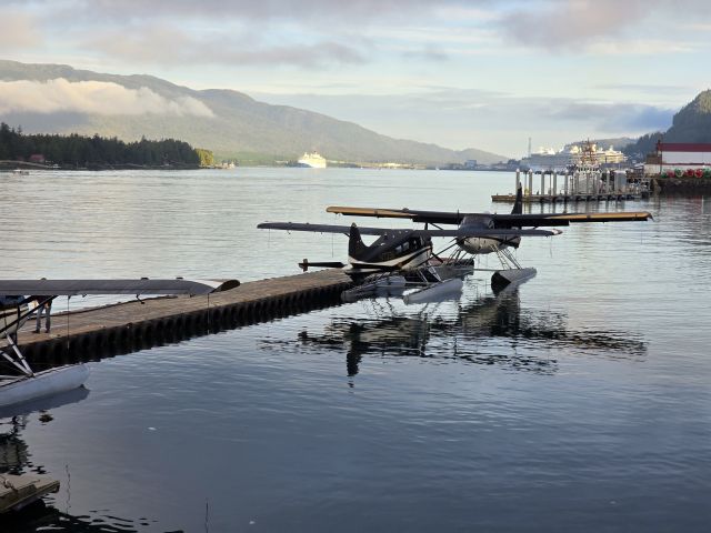 De Havilland Canada DHC-2 Mk1 Beaver (N7336) - Taken 9 Jul 2024