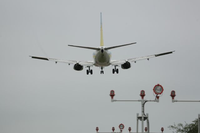 Boeing 737-500 (JA8595) - 26June 2015:HND-HKD.