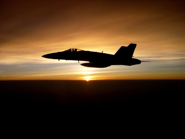 McDonnell Douglas FA-18 Hornet —