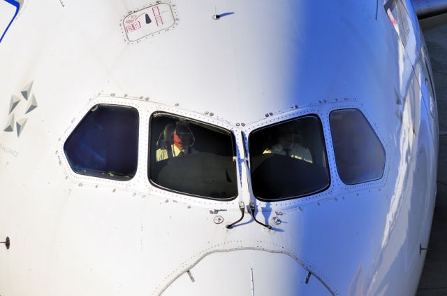 Boeing 787-8 (JA809A) - The Eyes