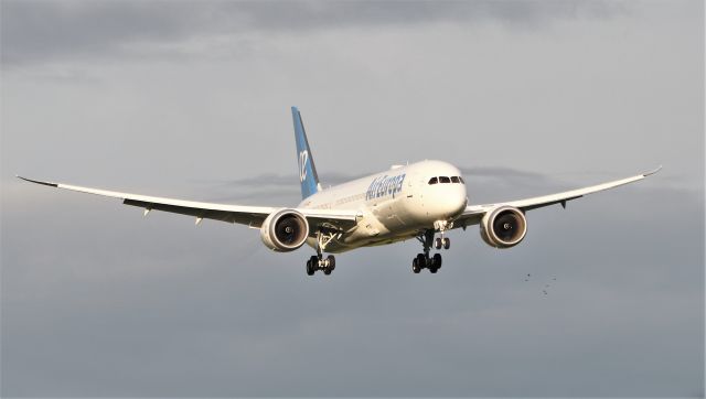 Boeing 787-9 Dreamliner (EC-NGS) - air europa b787-9 dreamliner ec-ngs landing at shannon from madrid 1/10/20.