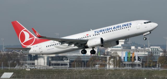 Boeing 737-800 (TC-JGO)