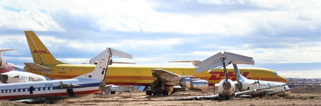 Airbus A300F4-600 (N365DH)