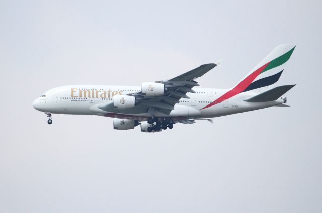 Airbus A380-800 (A6-EOO)