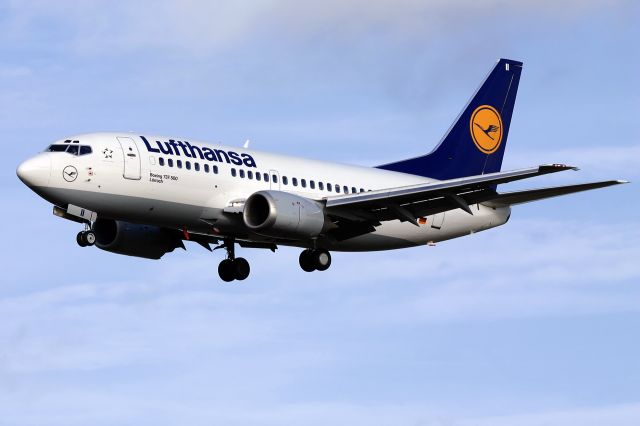 BOEING 737-300 (D-ABII)
