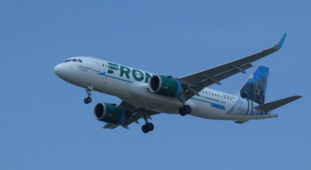 Airbus A320neo (N312FR) - On final is this 2017 Frontier Airlines Airbus 320-251N while "Chocolate" the Moose observes the landing.