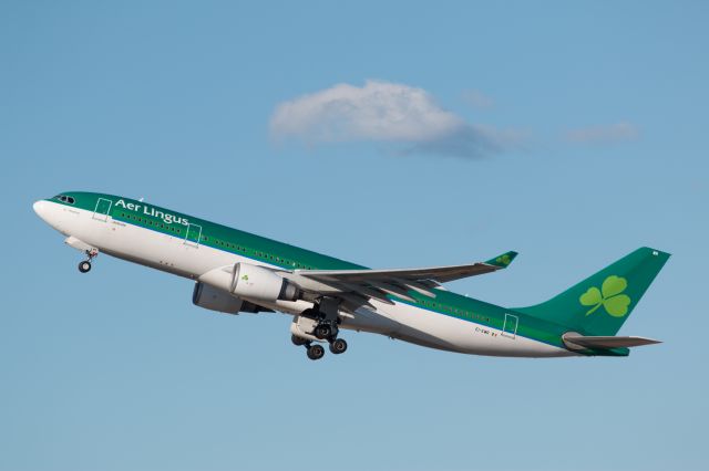 Airbus A330-200 (EI-EWR)