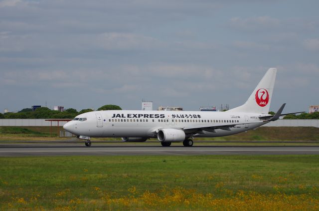 Boeing 737-700 (JA337J)