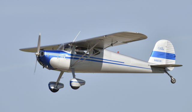 Cessna 120 (N1823V) - Airventure 2017