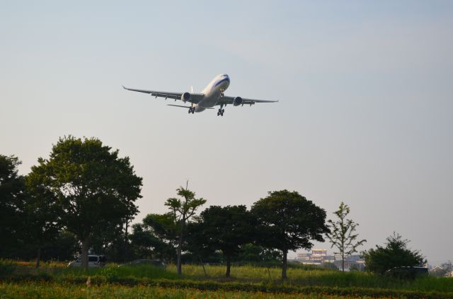 Airbus A330-300 (B-18317)