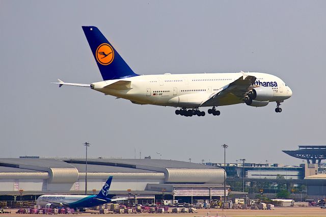 Airbus A380-800 (D-AIMI)