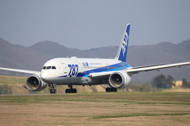 Boeing 787-8 (JA824A) - May 4th 2018:HKD-HND.