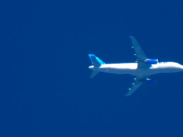 Airbus A320 (N436UA) - UAL1283br /DEN-JAXbr /11/12/2024
