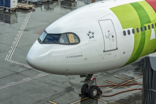 Airbus A330-900 (CS-TUN) - 1st February, 2024: An aircraft named after the 12th century Portuguese noble warrior waits at the gate at SFO. 