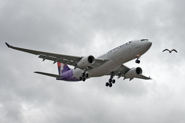 Airbus A330-200 (N390HA)