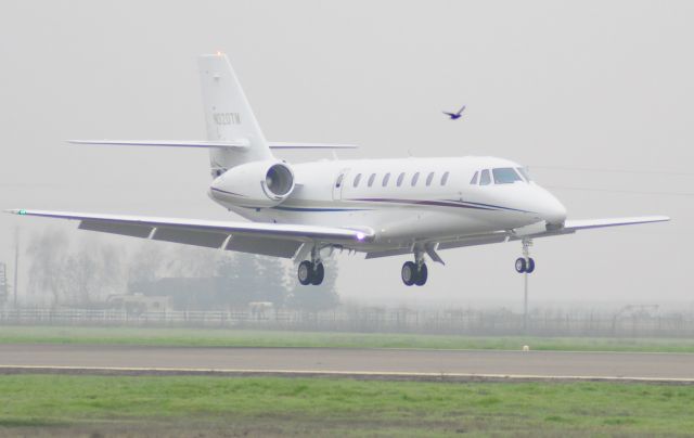 Cessna Citation Sovereign (N320TM)