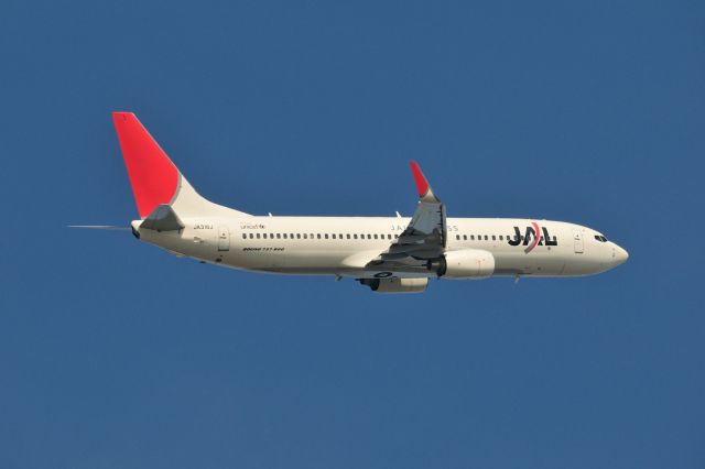 Boeing 737-800 (JA318J) - 2013/6/1