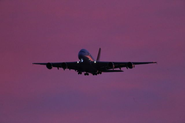 Airbus A380-800 —