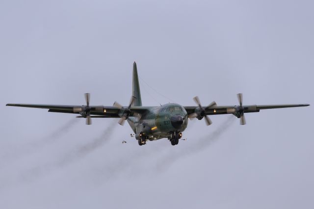 Lockheed C-130 Hercules (S3-AGB) - 7th Oct., 2015: Birds seem to be getting in the way of BAFs C-130 S3-AGB as she glides in for landing on rwy 14 at Zia International Airport.