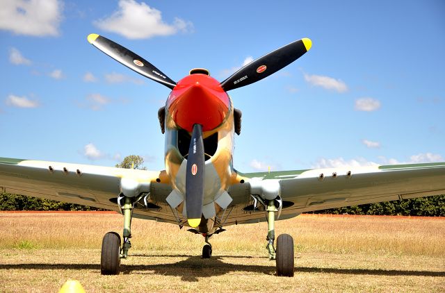 CURTISS Warhawk (VH-MIK) - North Queensland Warbirds P40 based at Mareeba North Qld, Australia