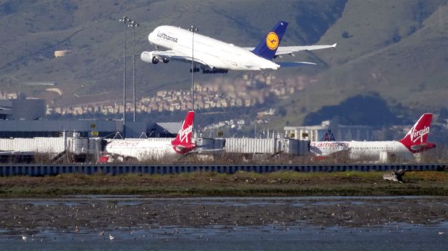 Airbus A380-800 (D-AIML) - D-AIML, Age: 1.3 Yearsbr /Airbus A380-800 (quad-jet) (A388 )br /Airline: Lufthansa, Engines: 4x RR Trent 900br /06-Mar-2015 A388/Q San Francisco Intl (KSFO) Frankfurt Intl (EDDF / FRA) 15:23 PST 10:28 CET (+1) 10:05