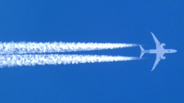 Boeing 787-8 (CC-BBD) - CC-BBD | LA750 | SCL>GRUbr /Boeing 787-8 Dreamlinerbr /VERTICAL DE CASCAVEL(SBCA) FL410br /20.03.2017 - 10:54