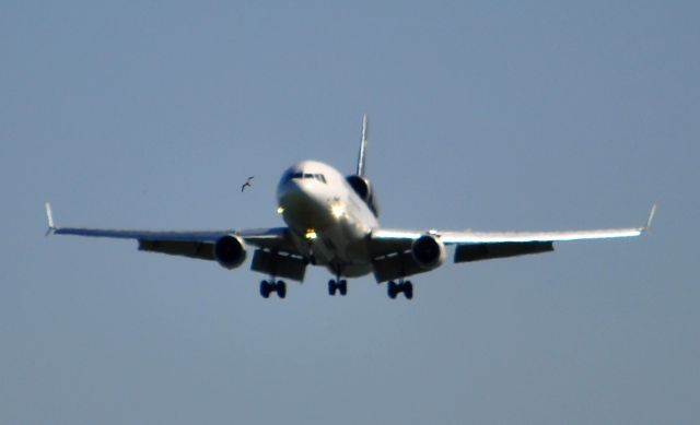 Boeing MD-11 (N274UP) - Near Bird strike.