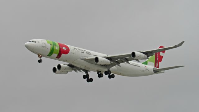 Airbus A340-300 (CS-TOB) - 15/11/2016br /Foto:Gustavo Queiroz