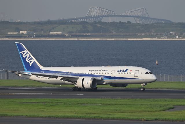 Boeing 787-8 (JA810A) - 06.Sep.2024br /Landing at RWY16L(C)